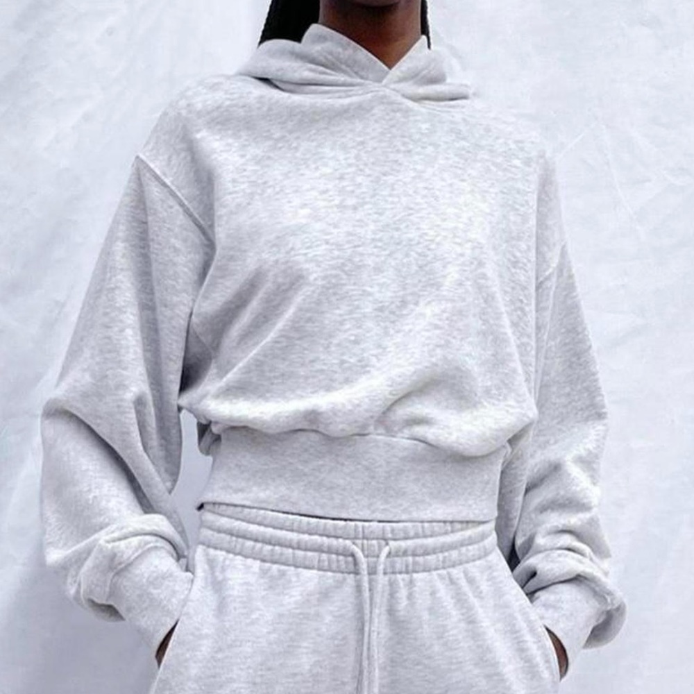Aritzia perfect shrunken hoodie